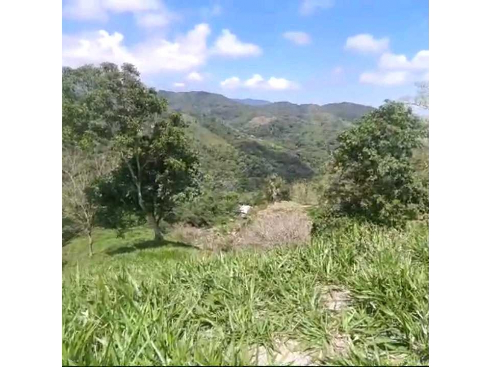 Finca Ganadera Por La Vereda Los Limones Bonda Santa Marta Colombia — foto 5