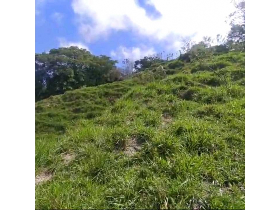Finca Ganadera Por La Vereda Los Limones Bonda Santa Marta Colombia — foto 6