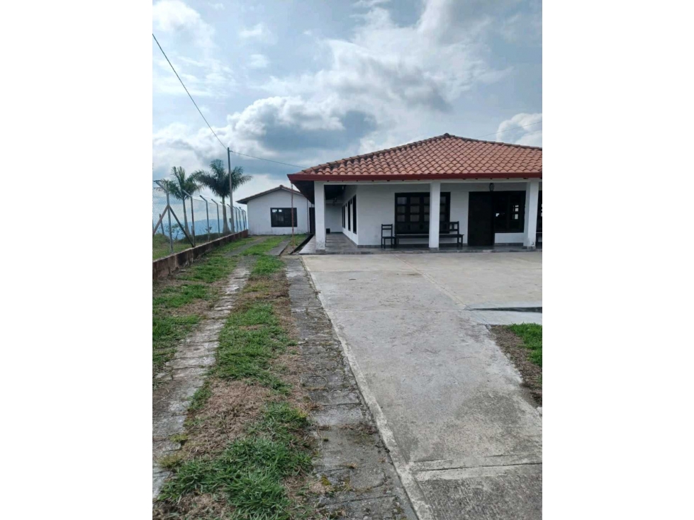 FINCA GANADERA SEMIPLANA CIRCASIA — foto 5