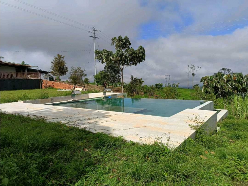 FINCA GANADERA SEMIPLANA CIRCASIA — foto 3
