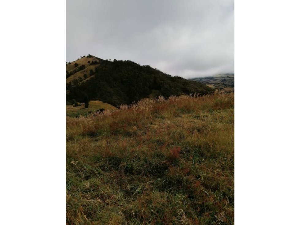 Finca Ganadera La Pradera - Subachoque - 4