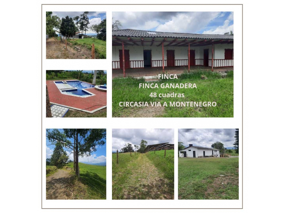 FINCA GANADERA VÍA CIRCASIA A MONTENEGRO.