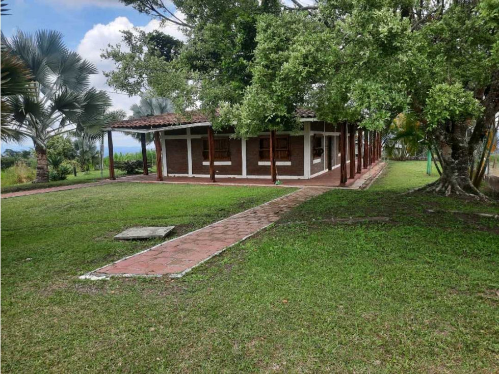 FINCA GANADERA VÍA CIRCASIA A MONTENEGRO. — foto 2