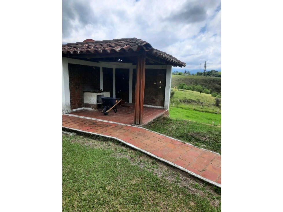 FINCA GANADERA VÍA CIRCASIA A MONTENEGRO. — foto 3