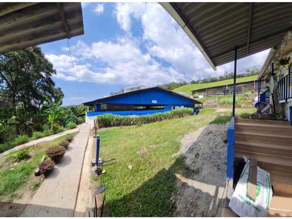 Finca Porcícola de cría en BUGA-La Magdalena-PRECIO CON TODO I - 6