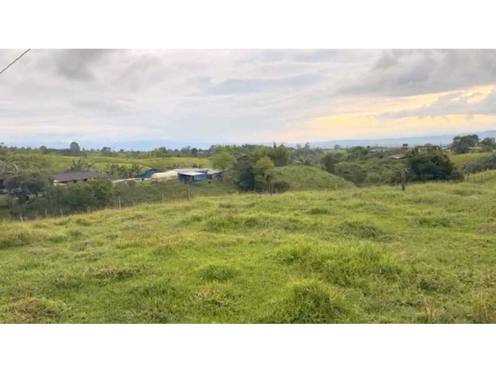 FINCA / GRANJA PORCICOLA Y PRODUCTIVA A 15 MIN DE CIRCASIA. — foto 2