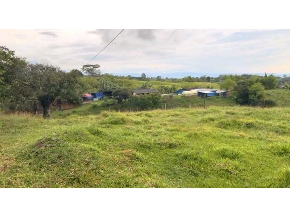 FINCA / GRANJA PORCICOLA Y PRODUCTIVA A 15 MIN DE CIRCASIA. — foto 3