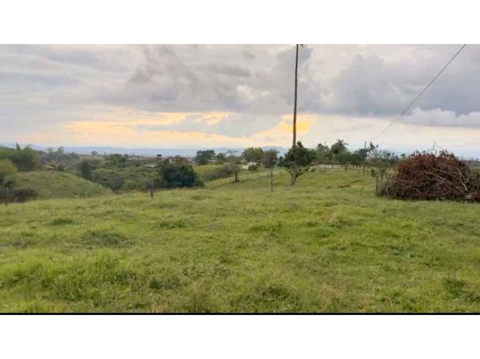 FINCA / GRANJA PORCICOLA Y PRODUCTIVA A 15 MIN DE CIRCASIA. — foto 4