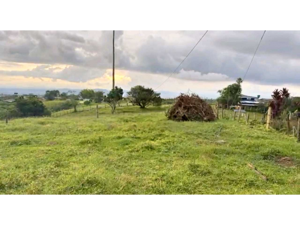 FINCA / GRANJA PORCICOLA Y PRODUCTIVA A 15 MIN DE CIRCASIA. — foto 5