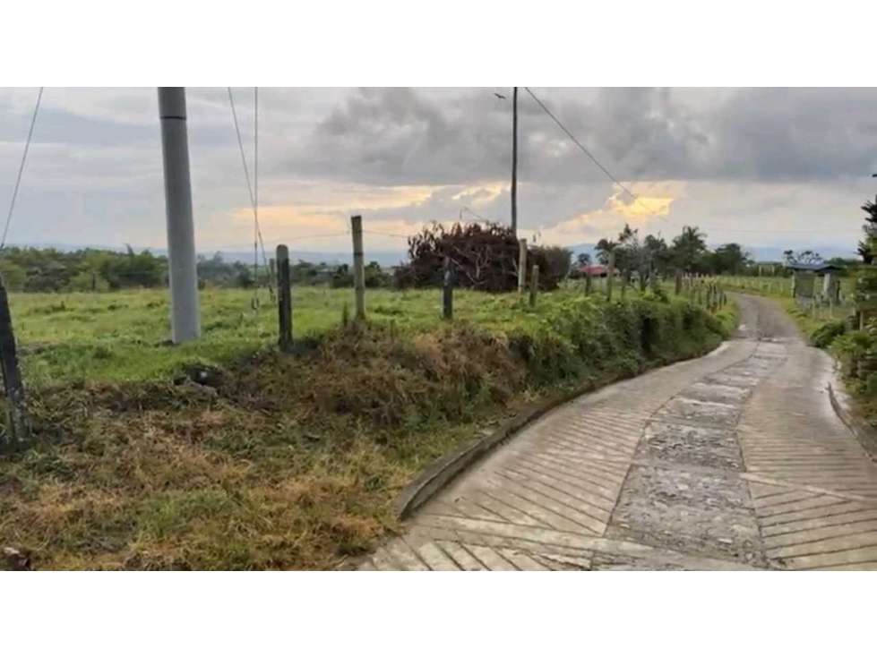 FINCA / GRANJA PORCICOLA Y PRODUCTIVA A 15 MIN DE CIRCASIA. — foto 6