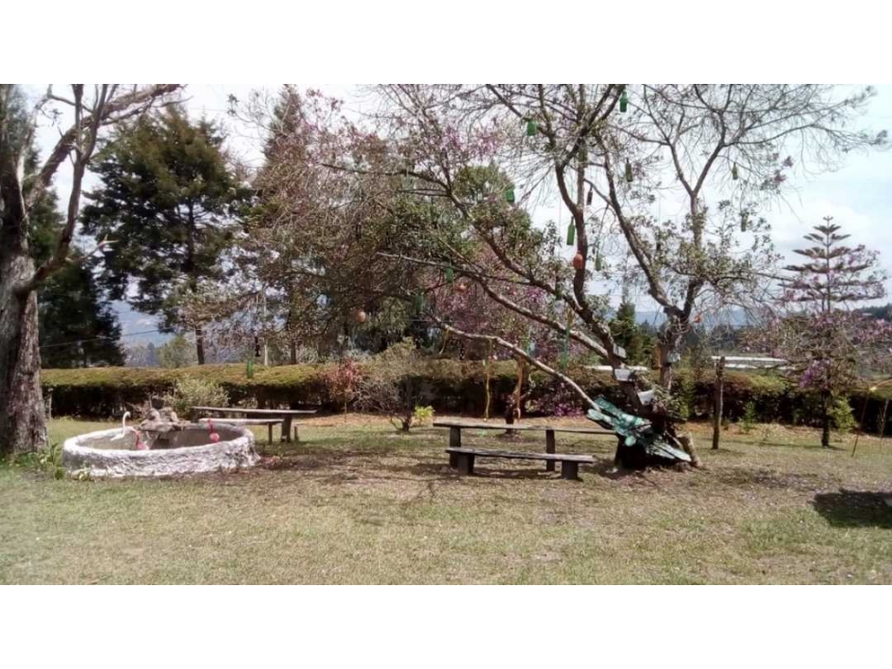 Finca Guarne Piedras Blancas — foto 4
