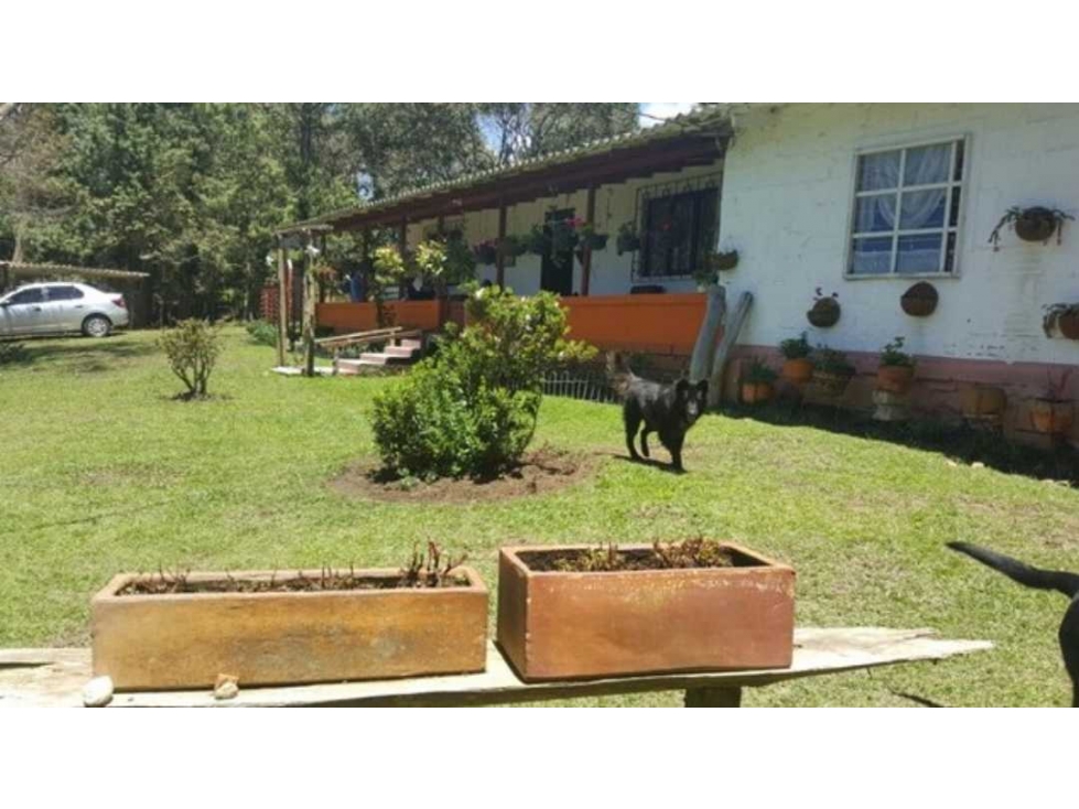 Finca Guarne Piedras Blancas — foto 5