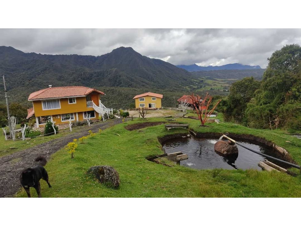 GUASCA, 50 faneg, pozos agua, siembra, ganadería, ALTO DE LA CUCHILLA - 1