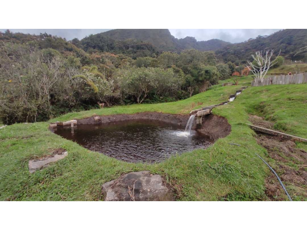 GUASCA, 50 faneg, pozos agua, siembra, ganadería, ALTO DE LA CUCHILLA - 3