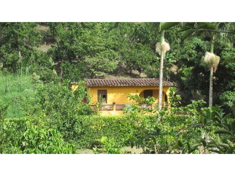 Finca independiente en Girardota — foto 4
