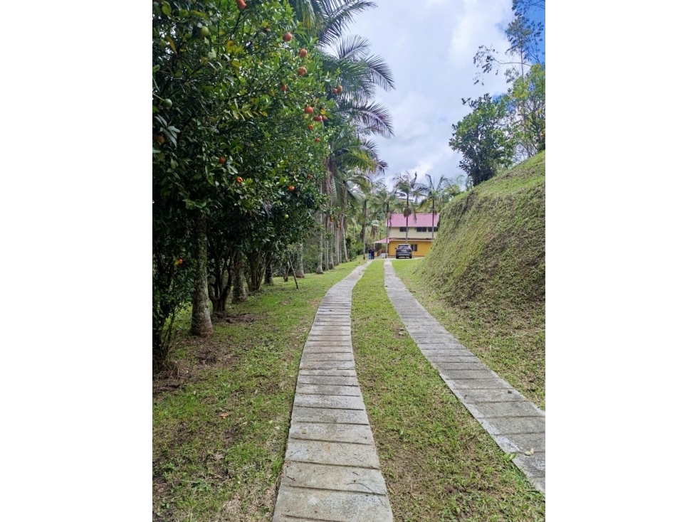 Finca independiente en venta sector mampuesto rionegro - 4