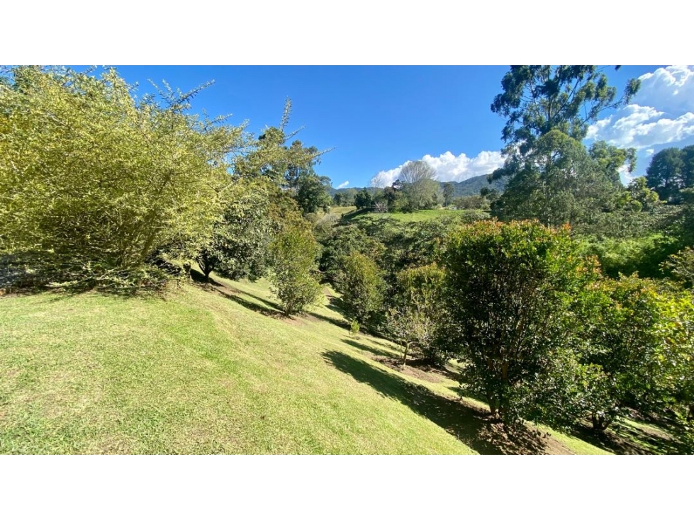 Venta Finca Exótica Vista Via San Antonio La Ceja — foto 5