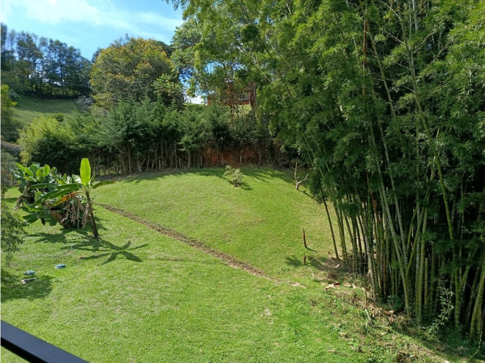 Finca independiente sector la cucharita vía san antonio la ceja — foto 4
