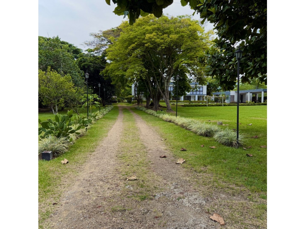 Finca La Dulce Espera? Entre Palmira y El Cerrito. — foto 6