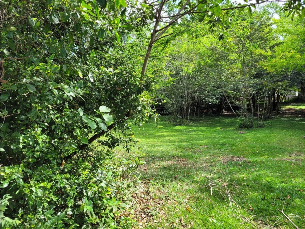 FINCA LA MESETA - 1