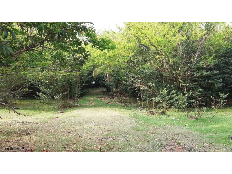 FINCA LA MESETA - 3