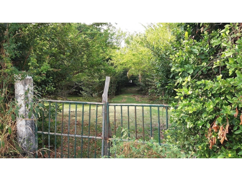 FINCA LA MESETA - 4