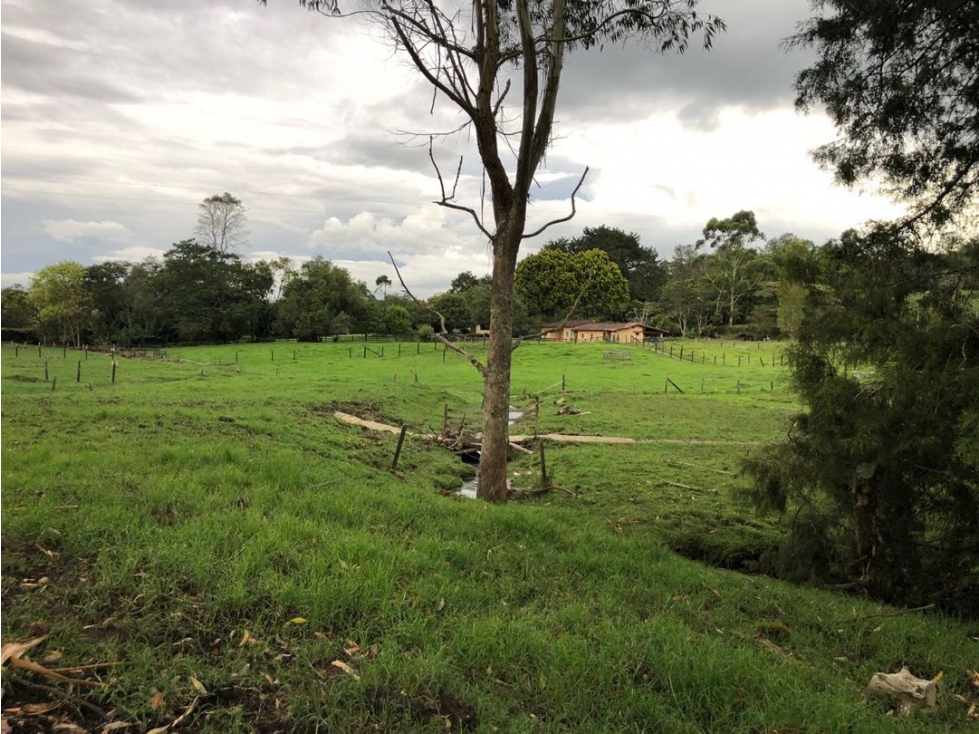 Finca Llanogrande vereda pontezuela sobre la vía y excelente topografi — foto 5