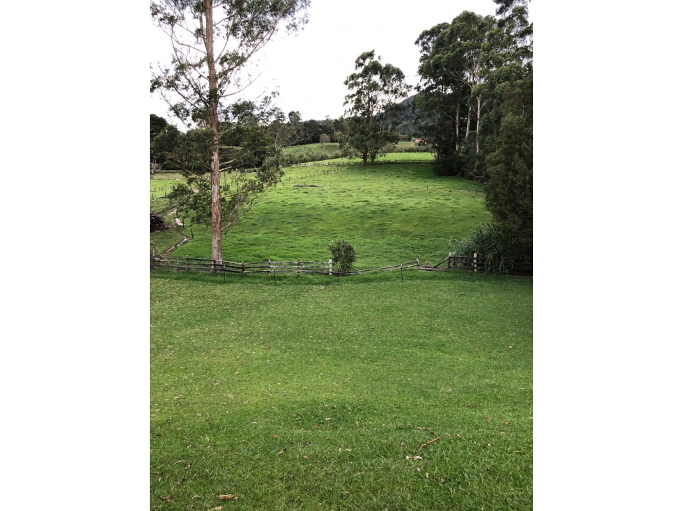 Finca Llanogrande vereda pontezuela sobre la vía y excelente topografi — foto 6