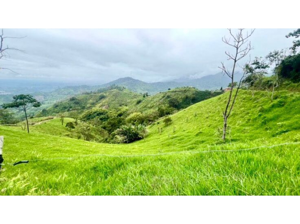 FINCA LOTE EN VENTA O PERMUTA EN CÓRDOBA, QUINDÍO IDEAL PARA GLAMPING