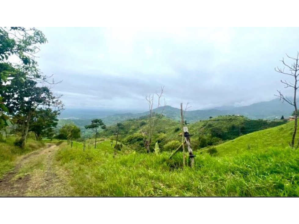 FINCA LOTE EN VENTA O PERMUTA EN CÓRDOBA, QUINDÍO IDEAL PARA GLAMPING — foto 2