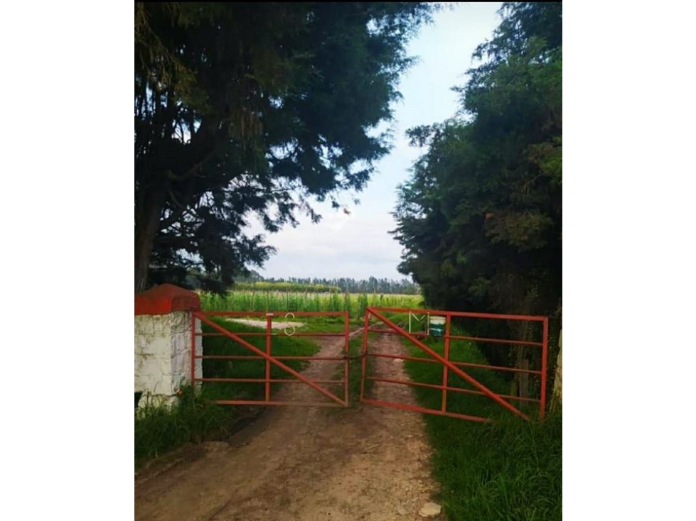 Finca / Lote Suburbano - Vereda El Chacal - Tenjo - VENTA DIRECTA — foto 2