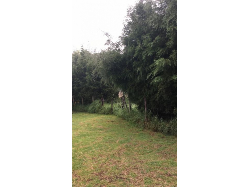 Finca / Lote Suburbano - Vereda El Chacal - Tenjo - VENTA DIRECTA — foto 3