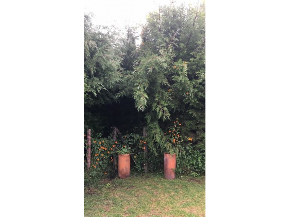 Finca / Lote Suburbano - Vereda El Chacal - Tenjo - VENTA DIRECTA — foto 6