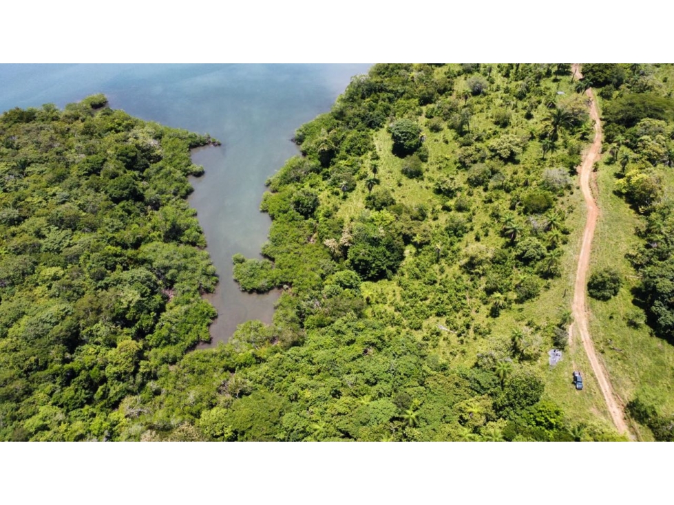 Finca Panorámica en Boca Brava - 4