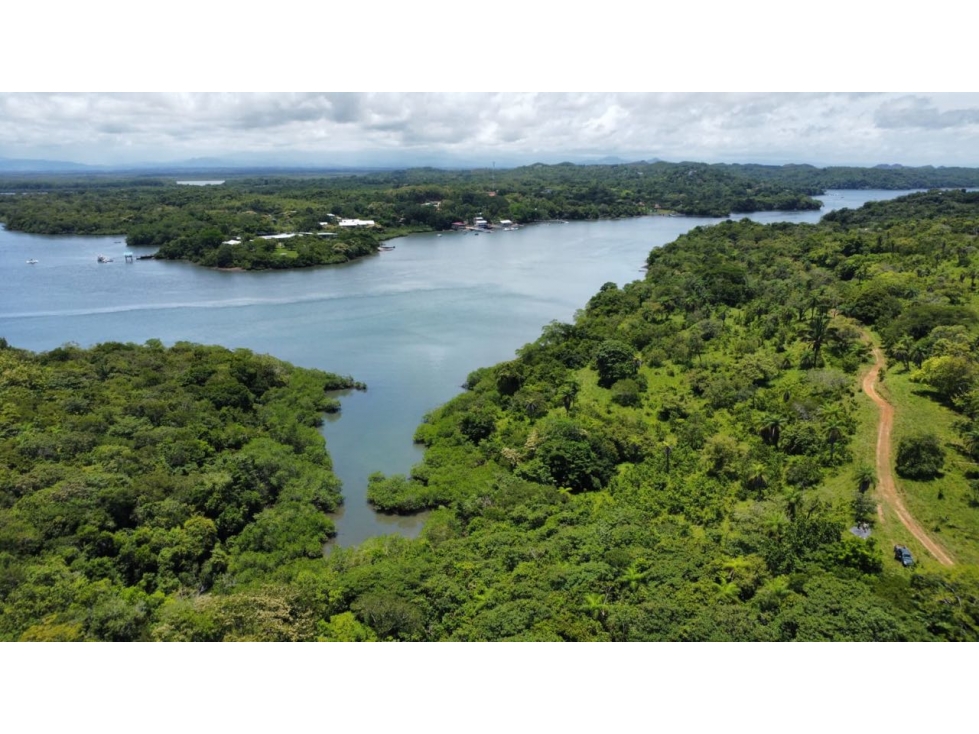 Finca Panorámica en Boca Brava - 5