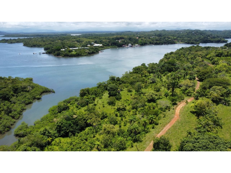 Finca Panorámica en Boca Brava - 6