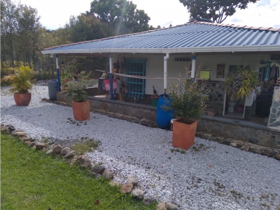 Finca para la Venta en el Peñol la Magdalena para Inversionistas - 4