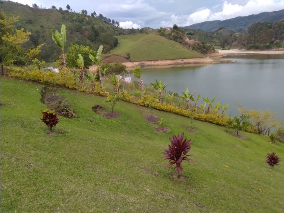 Finca para la Venta en el Peñol la Magdalena para Inversionistas - 1