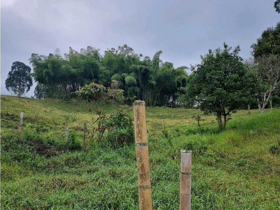 lote campestre para la venta en Filandia de 3 cuadras - 2