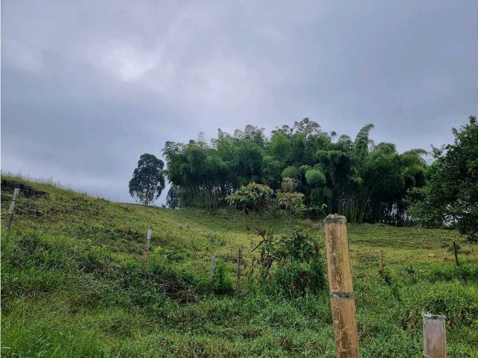 lote campestre para la venta en Filandia de 3 cuadras - 3
