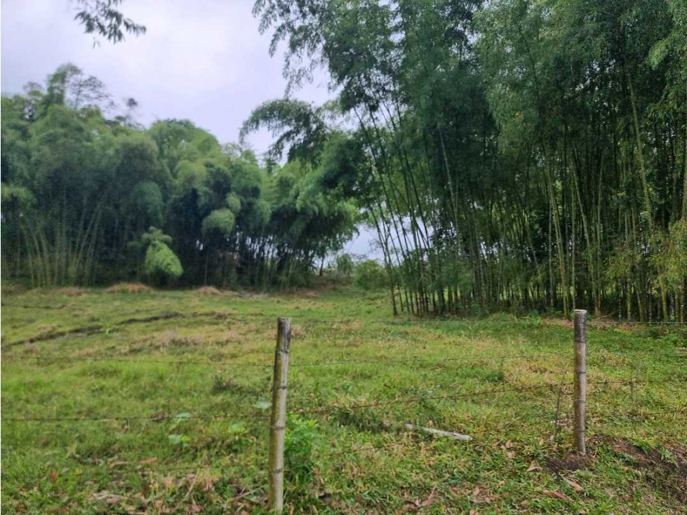 lote campestre para la venta en Filandia de 3 cuadras - 4