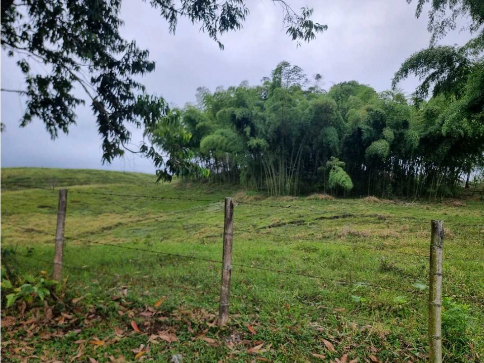lote campestre para la venta en Filandia de 3 cuadras - 5