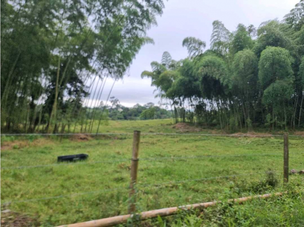 lote campestre para la venta en Filandia de 3 cuadras - 6