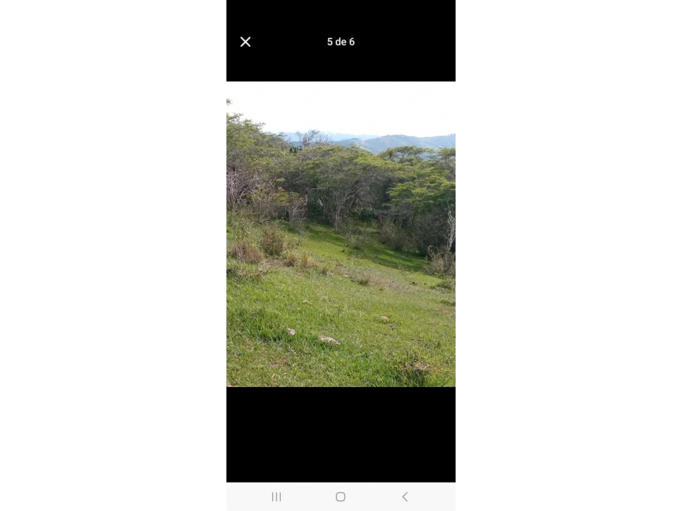Finca Para la Venta en Roldanillo Valle - 3