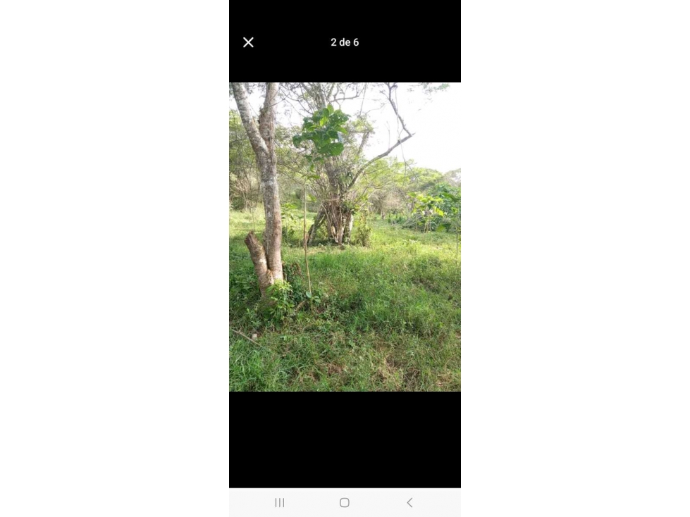 Finca Para la Venta en Roldanillo Valle - 4