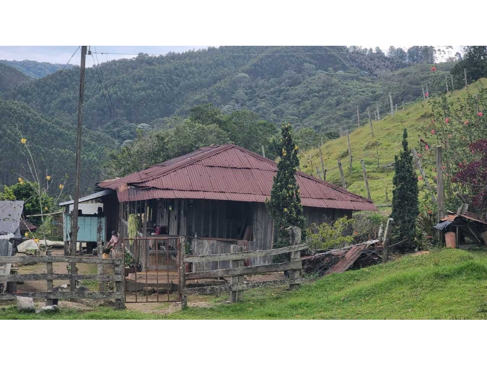 Finca para la venta en Salento vereda nabarco con bosque vista y rio - 1