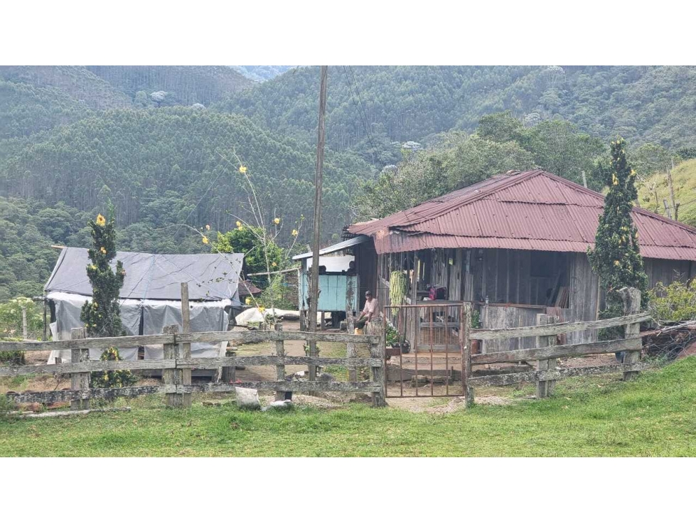 Finca para la venta en Salento vereda nabarco con bosque vista y rio - 2