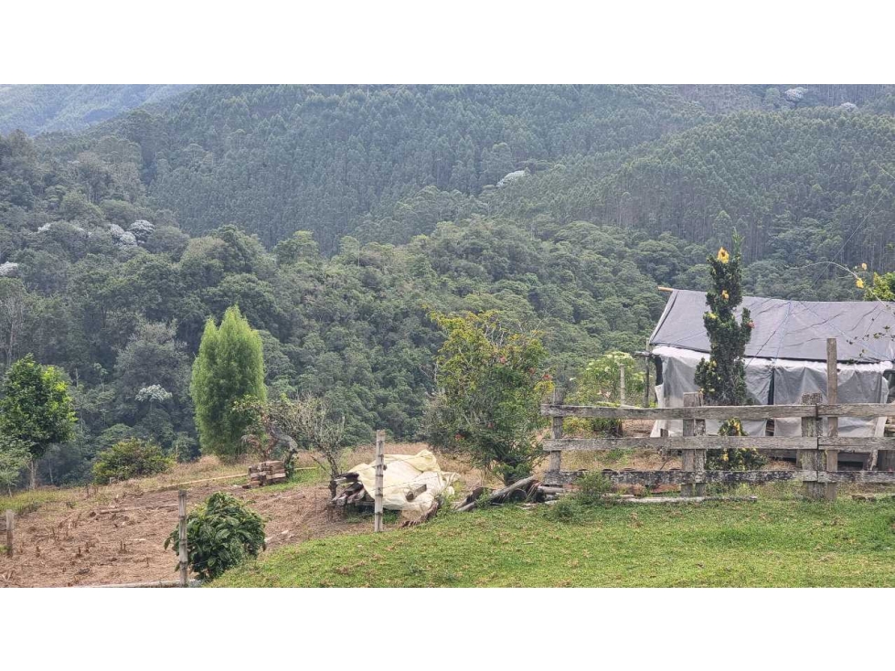Finca para la venta en Salento vereda nabarco con bosque vista y rio - 3
