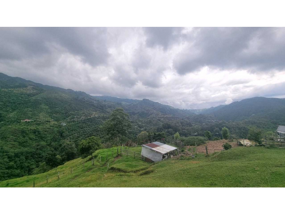 Finca para la venta en Salento vereda nabarco con bosque vista y rio - 4