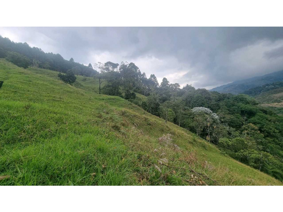 Finca para la venta en Salento vereda nabarco con bosque vista y rio - 5